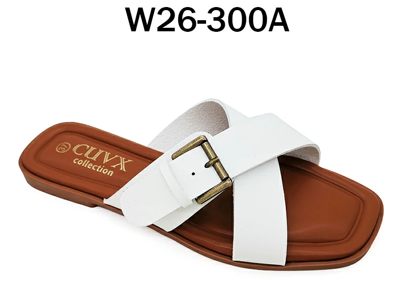 W26-300 50 pieces per cartons